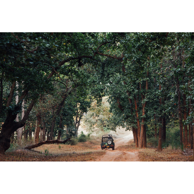 Safari Vehicle In The Forest by Fabian Gysel - No Frame Art Prints on Canvas, 30cm H x 46cm W