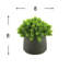 Faux Succulent in Fiberstone Pot-1601367876