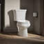 Wellworth® 1.28 GPF Elongated Two-Piece Toilet (Seat Not Included)-101431389-10977945