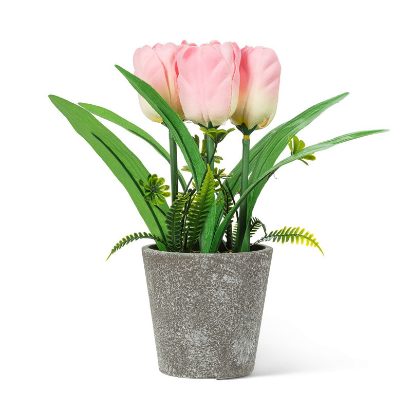 Tulipes jaunes en pot, Rose