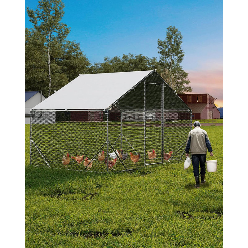 Chicken Coop, 199.9cm H x 299.7cm W x 199.9cm D