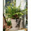 Gervais Animals UV Resistant Stone Garden Statue