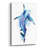 'Colorful Animals Shark' by Lindsay Kivi Acrylic Glass Wall Art-6267762