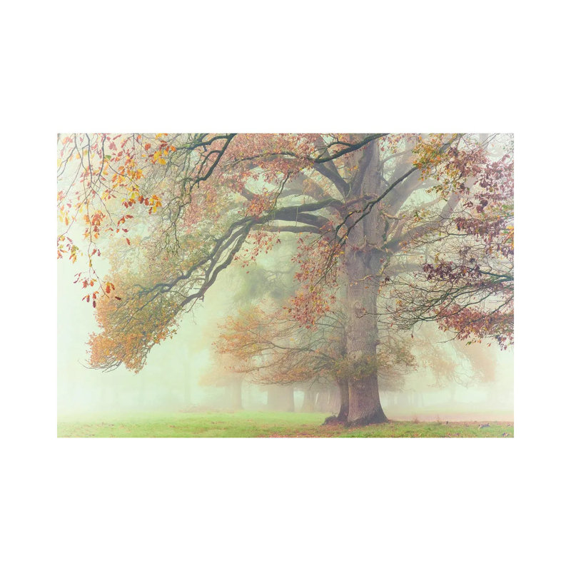The Lonely Oak by Philippe Manguin - Wrapped Canvas Print, 66.04 cm H x 45.72 cm W x 3.175 cm D