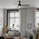 Ballog 52'' Ceiling Fan with LED Lights