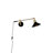Penelope Iron Swing Arm Sconce