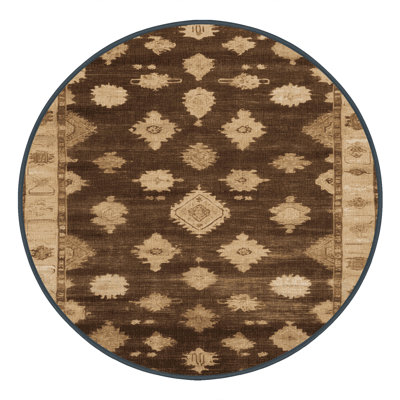 Machine Washable Overdyed Brown Area Rug