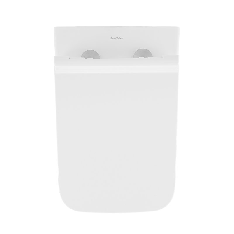 Cuvette de toilette Concorde Back-to-Wall