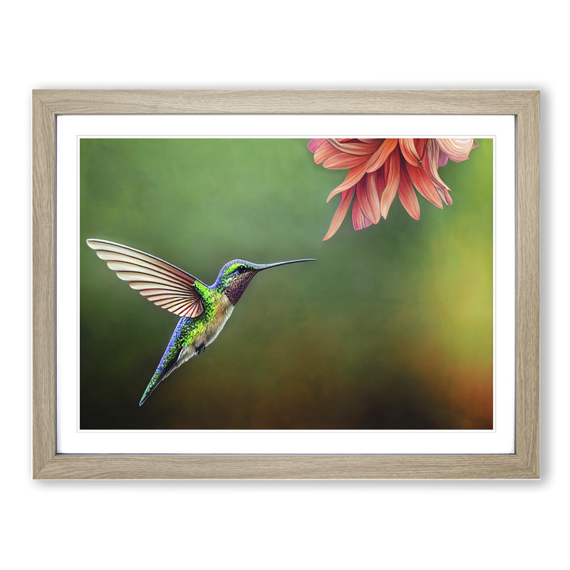 Floral Hummingbird Vol.4 - Single Picture Frame Painting, 25cm H x 34cm W x 2cm D, Oak