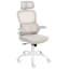 Office Chair with Headrest-252896912