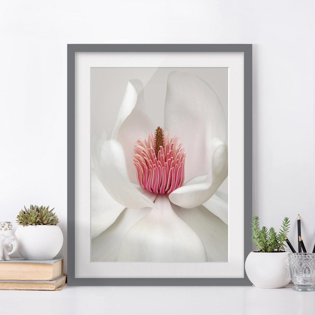 Gerahmtes Papierbild Magnolie in Rosa