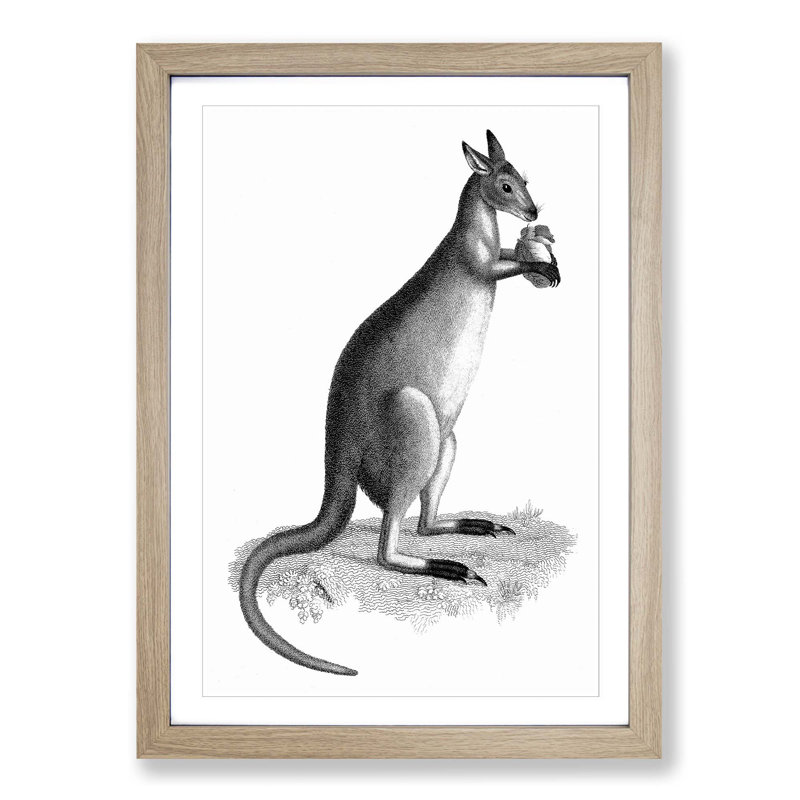 Kangaroo by George Shaw - Picture Frame Graphic Art Print, Oak Framed, 48cm H x 36cm W x 2cm D