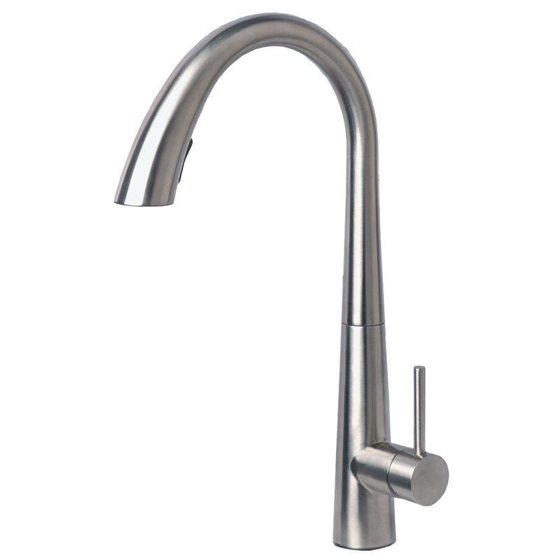 Laguna Brass Pull Down Kitchen Faucet