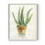 Succulent IV, reproduction encadrée - bois massif-2014880331-2014880324