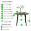 Betsab 4 - Person Dining Set