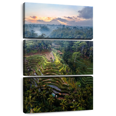 Gillard Rice Terraces Of Bali I