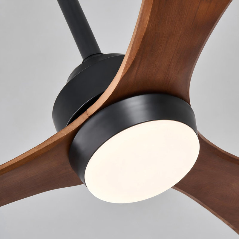 Ventilateur de plafond 52 po en bois massif avec lumière DEL et télécommande, Noir mat, Bois rouge