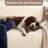 Stretch Pet Friendly Sofa Slipcover - Washable Couch Slip Cover Furniture Protector-51370894-51833416