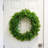 Fresh (Live) Fern 19'' Wreath