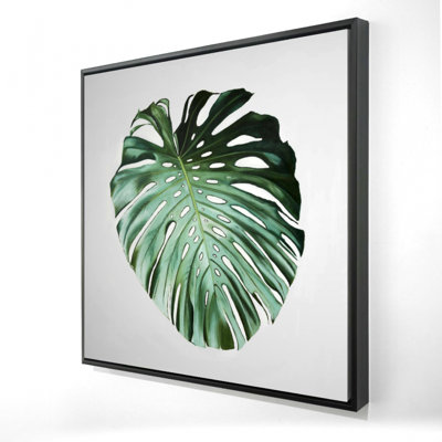 " Monstera Leaf "