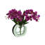 Orchid Floral Arrangement in Vase-97821181