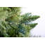 Lighted Artificial Christmas Tree-177942256