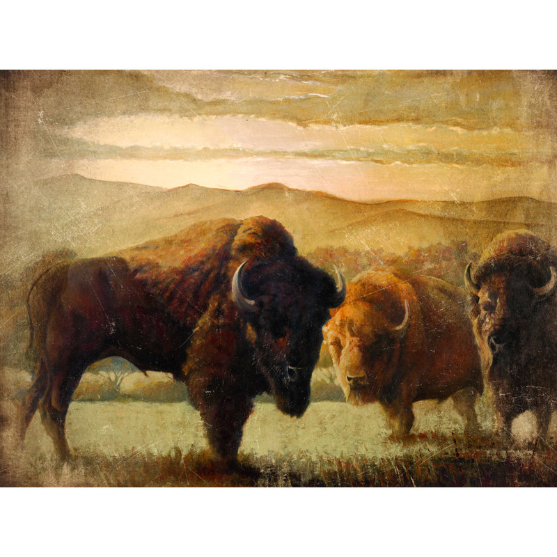 Bison Sunset - peinture sur toile tendue, H 36 po x l 48 po