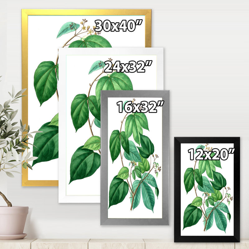 Feuilles de plantes III - Reproduction de photo sur toile, H 32 po x l 24 po x P 1 po, Blanc