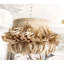 Pendant-25317310-25317312