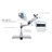 Mount-It Full Motion Height Adjustable Single LCD Monitor Desk Mount | Fits Up to 32 in. Screens