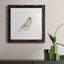 12_Robin Bird S croquis I-Premium, reproduction encadrée - prêt à être accroché-62719099-62719095