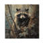 Brinae Racoon Wanderer III sur impression sur bois-1302545063