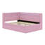 Upholstered Platform Bed With USB Ports And LED Belt, With Trundle-123007611