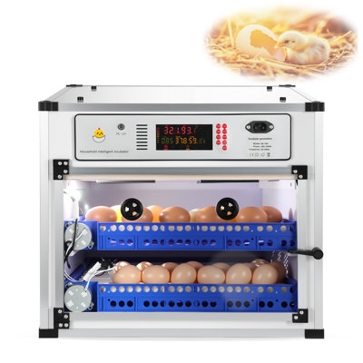  Incubateur à œufs automatique 136 pi avec retourneur automatique, contrôle numérique de l'humidité de la température et remplissage d'eau, œufs d'incubation pour œufs de poule