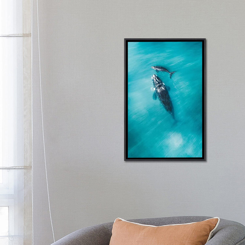 «Peaceful Whales III» par Jaxon Roberts - impression d'art graphique, Toile avec cadre noir patiné, Aucun mat