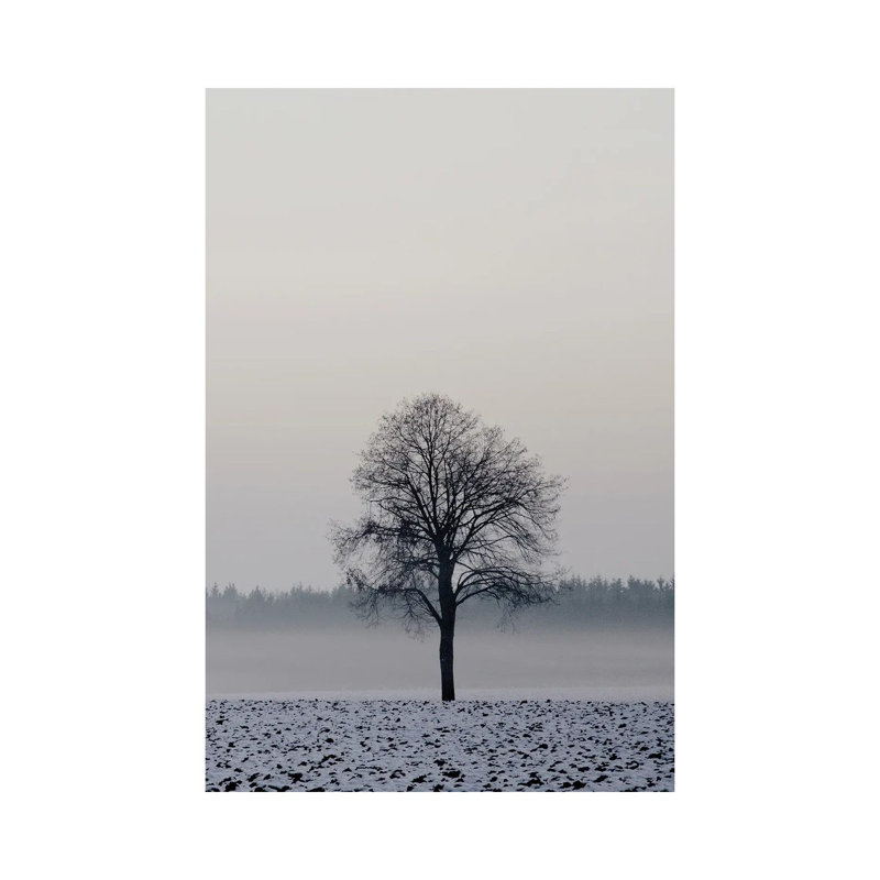 Winter Tree by Lena Weisbek - Gallery-Wrapped Canvas Giclée on Canvas, 66.04 cm H x 45.72 cm W, Wrapped Canvas