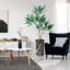 66 plantes-97701521