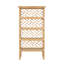 Chippendale Bookcase-111532603