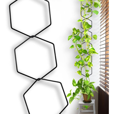 Plante treillis pour plantes grimpantes d'intérieur, chaîne en L 7,5 pi.