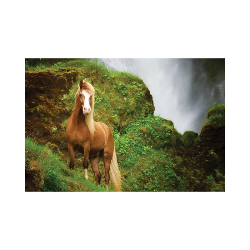 Collection of Horses I 1 Piece Wrapped Canvas Wall Art, 101.6 cm H x 66.04 cm W x 3.175 cm D