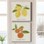 Toile tendue Citrus Trattare I-Premium Gallery - prête à être accrochée-781967171