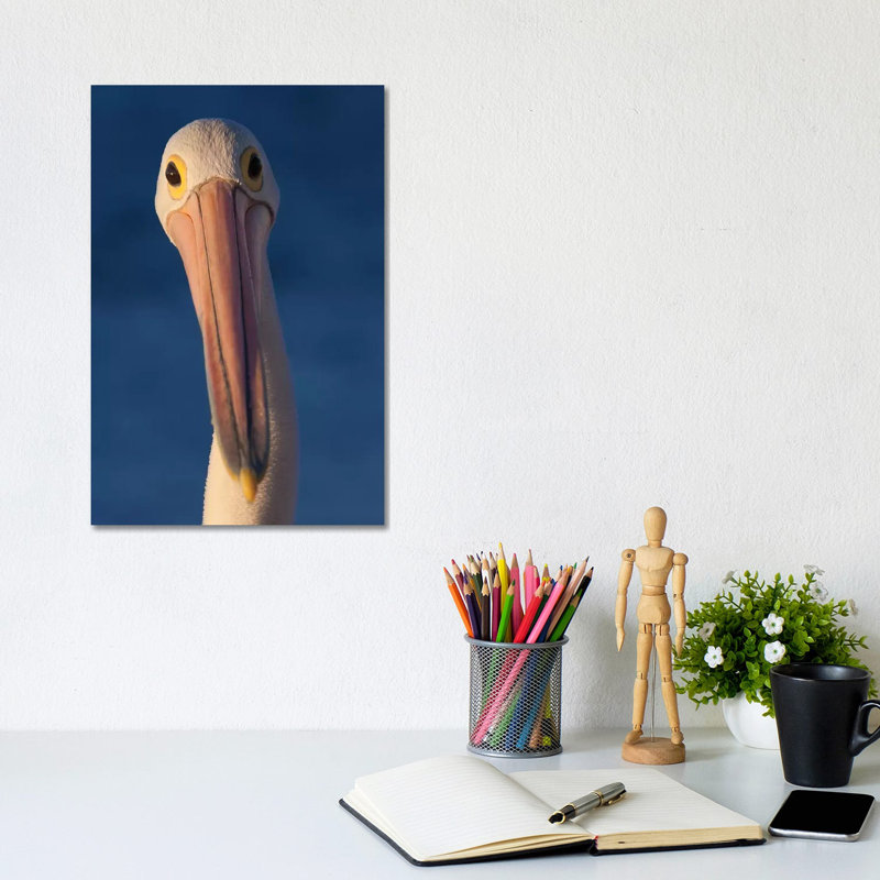 Australian Pelican by Mogens Trolle - Wrapped Canvas Gallery-Wrapped Canvas Giclée, 20.32 cm H x 30.48 cm W