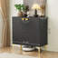 Armoire d'appoint 2 portes Tazmin, coffres décoratifs avec poignée et pieds dorés-758487744