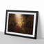 Sunlight Through the Trees - Picture Frame Painting Print-55613899-55613898