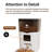 Automatic cat feeders
