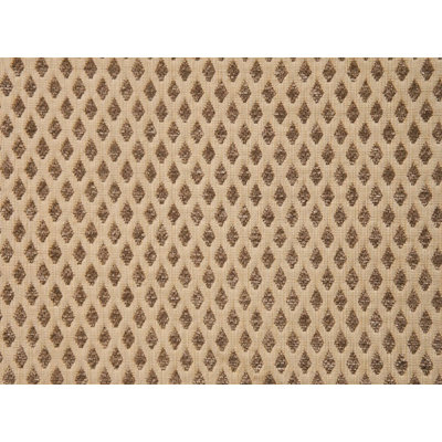 Sarah Fabric