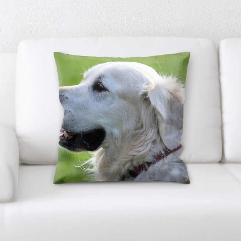 Coussin de l’extracteur