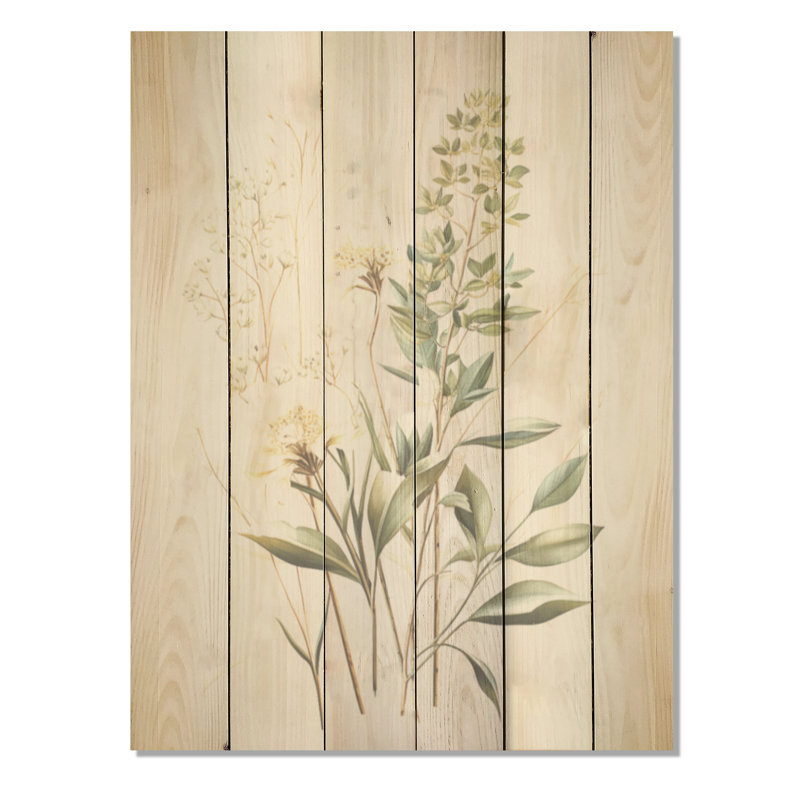 Green Herbs Minimal Harmony - Herbes, art mural sur bois de pin naturel, H 40 po x l 30 po
