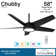 58'' 5 - Blade Outdoor LED Smart Standard Ceiling Fan with Remote Control and Light Kit Included