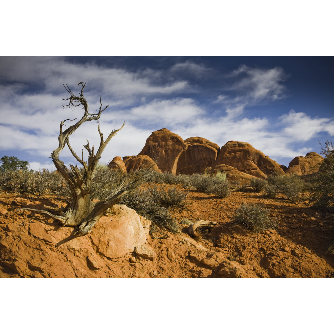 Sandsteinfelsen Moab Utah von Redhumv - Druck auf Leinwand ohne Rahmen